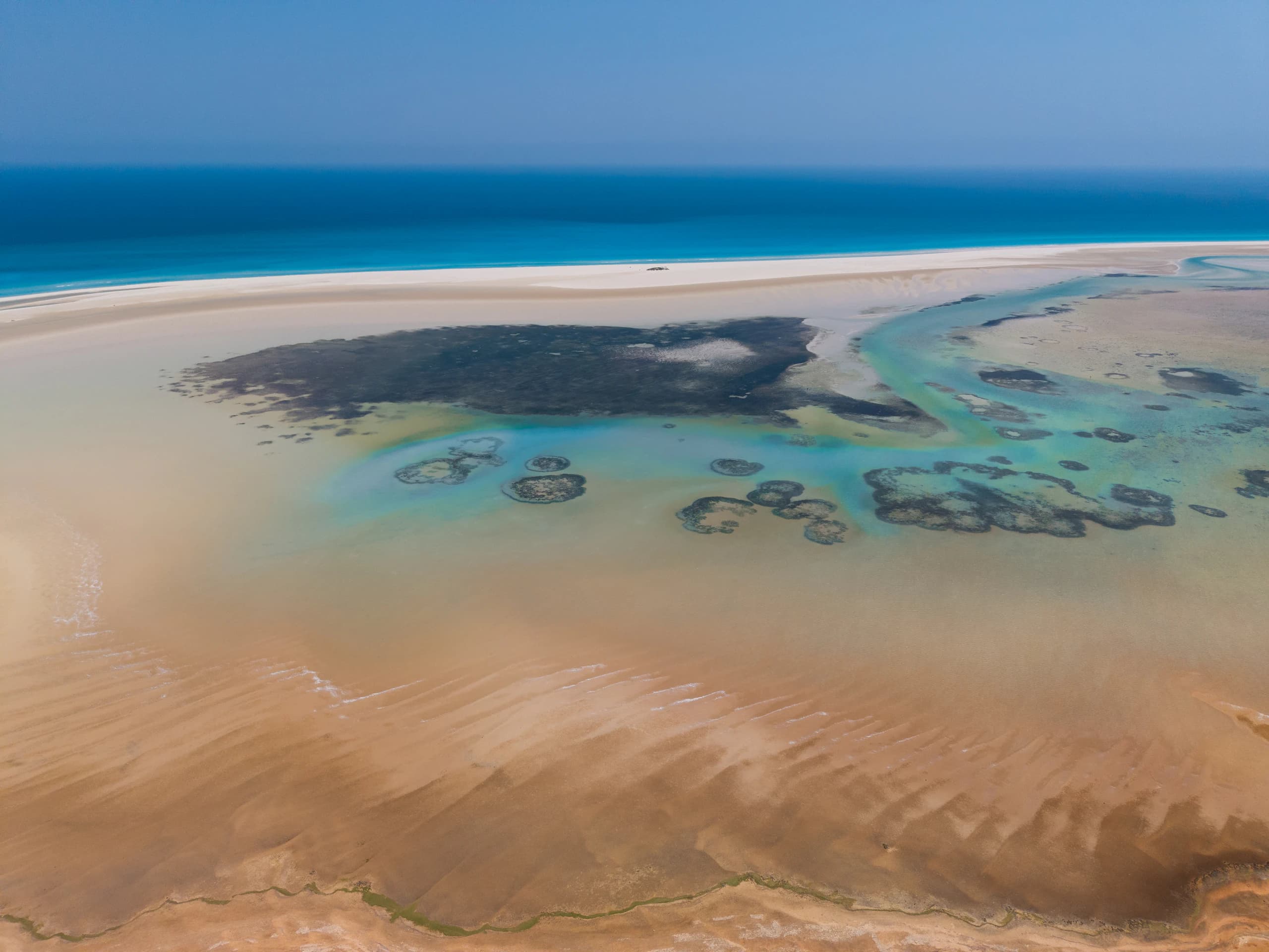 Swimming the lagoons of Detwah